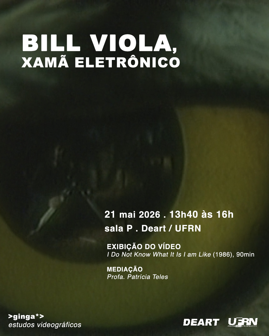 BILL VIOLA: xamã eletrônico