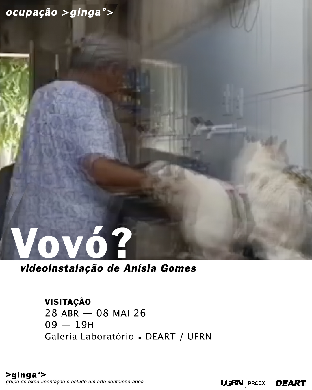 Vovó? (2026)